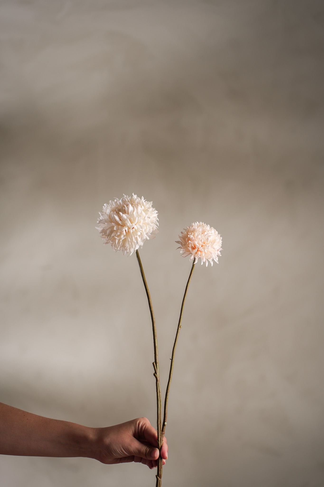 Kunstig krem Chrysanthemum 65cm
