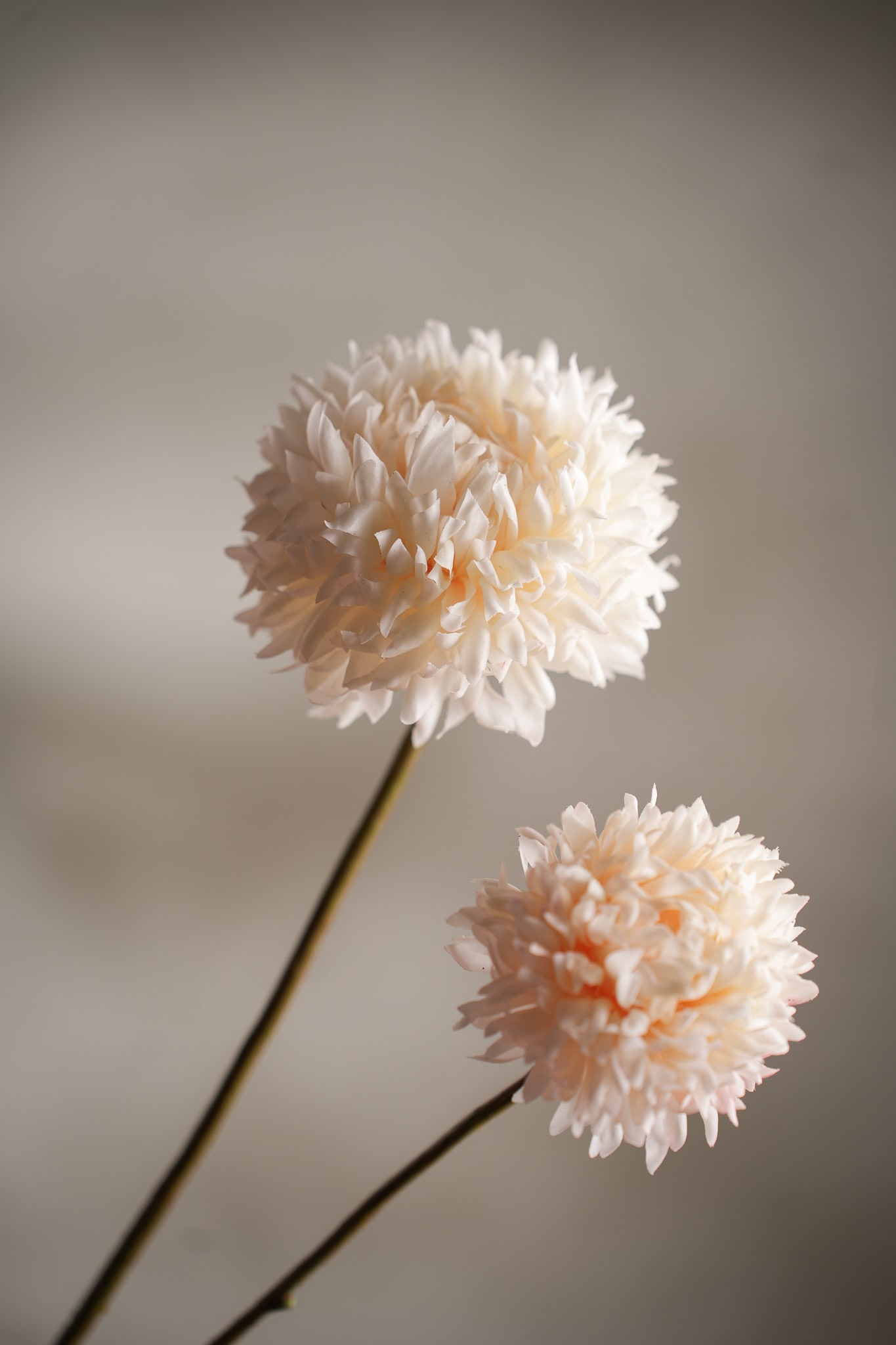 Kunstig krem Chrysanthemum 65cm