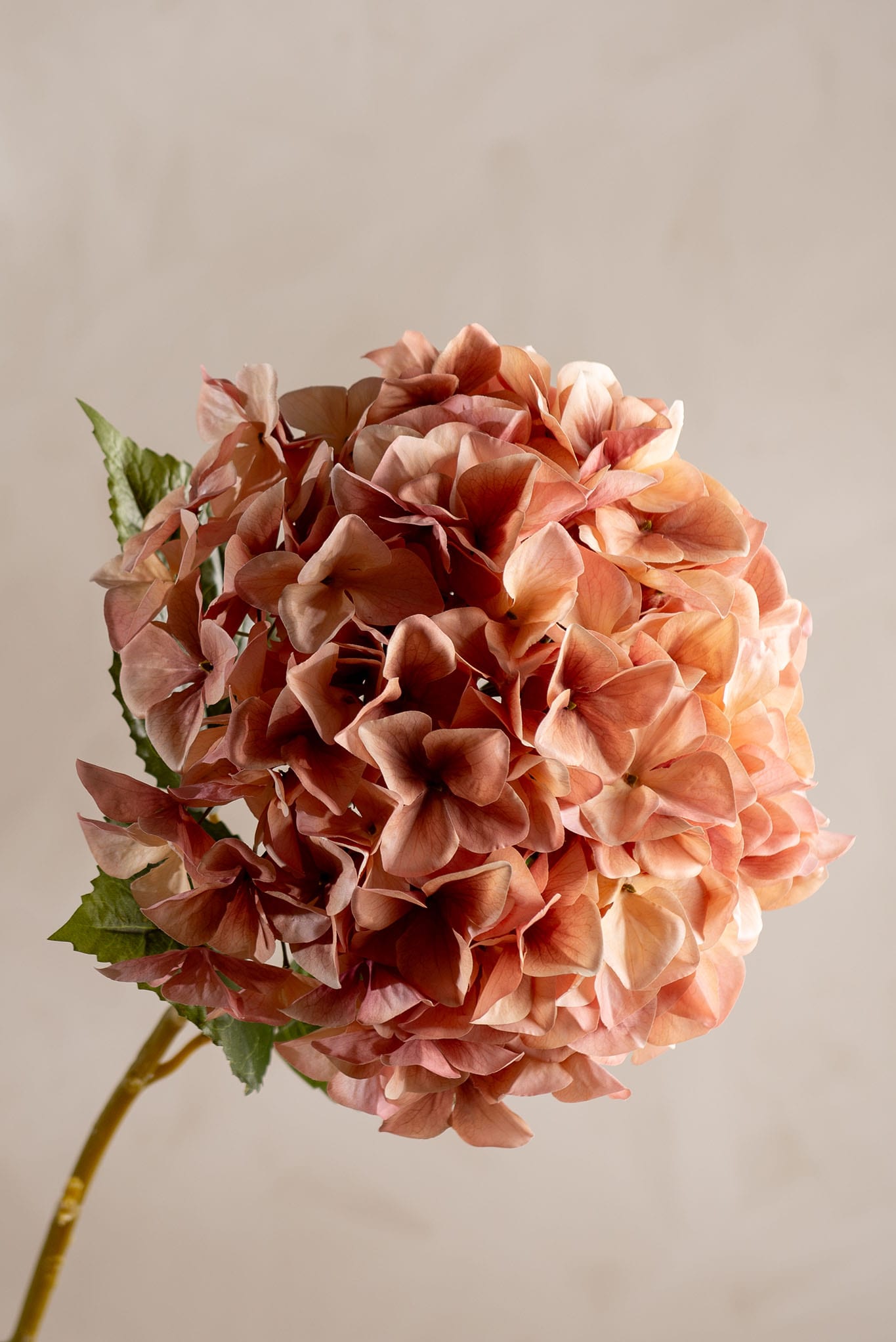 Kunstig rosa Hortensia 110cm
