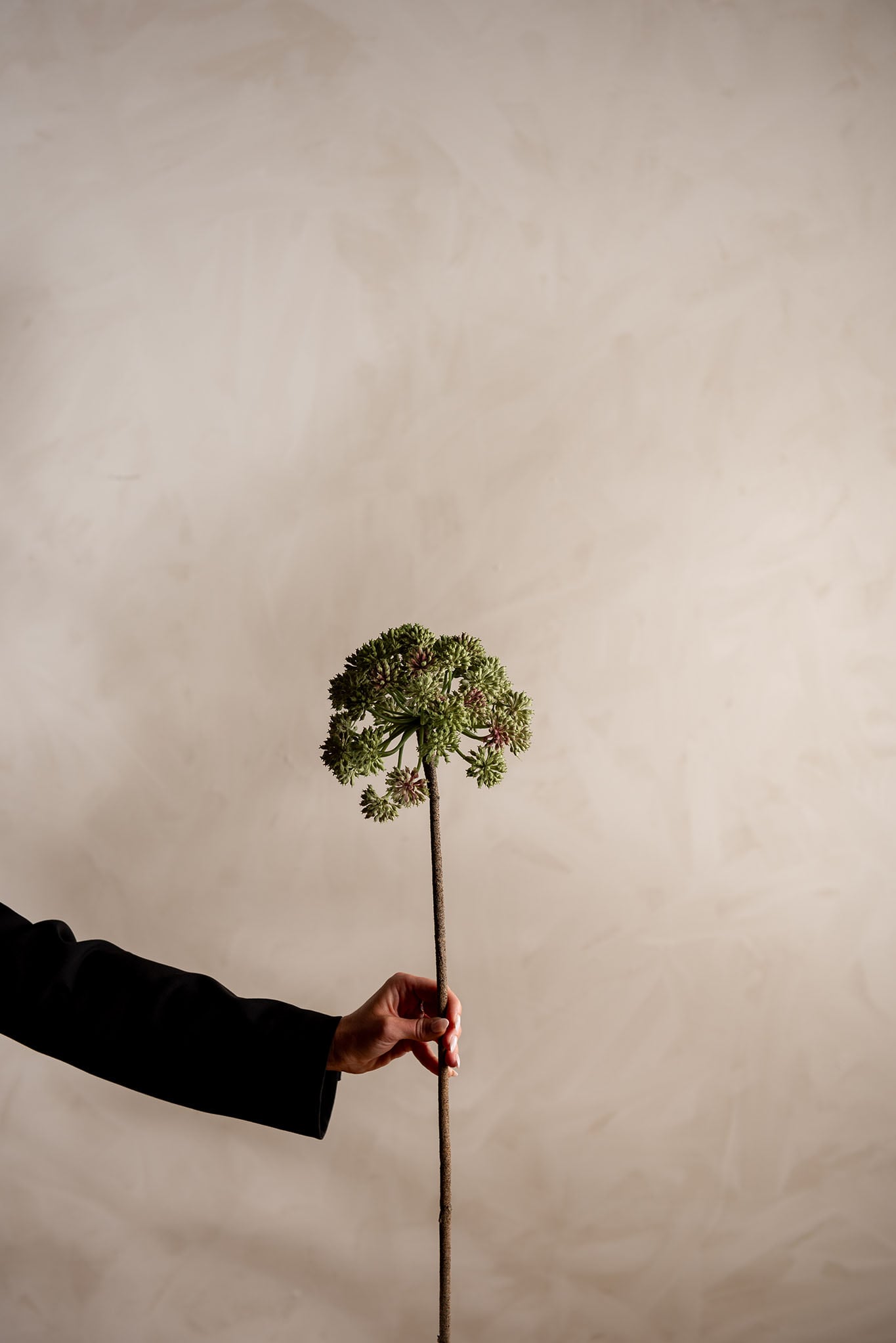 Kunstig grønn Angelica 95cm