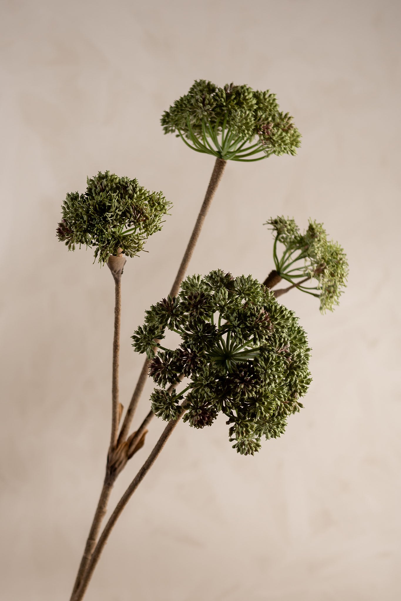 Kunstig grønn Angelica 125cm