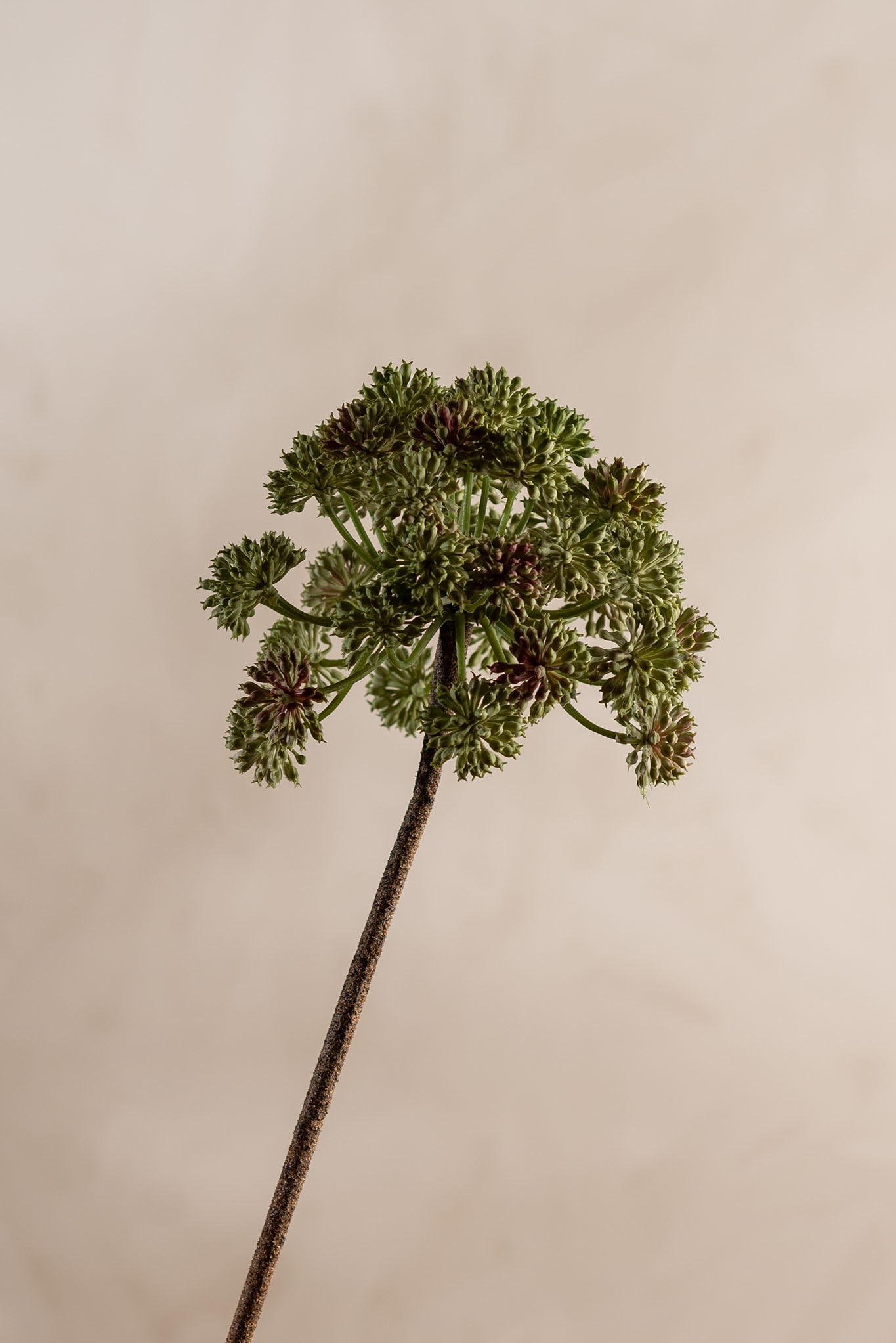 Kunstig grønn Angelica 95cm