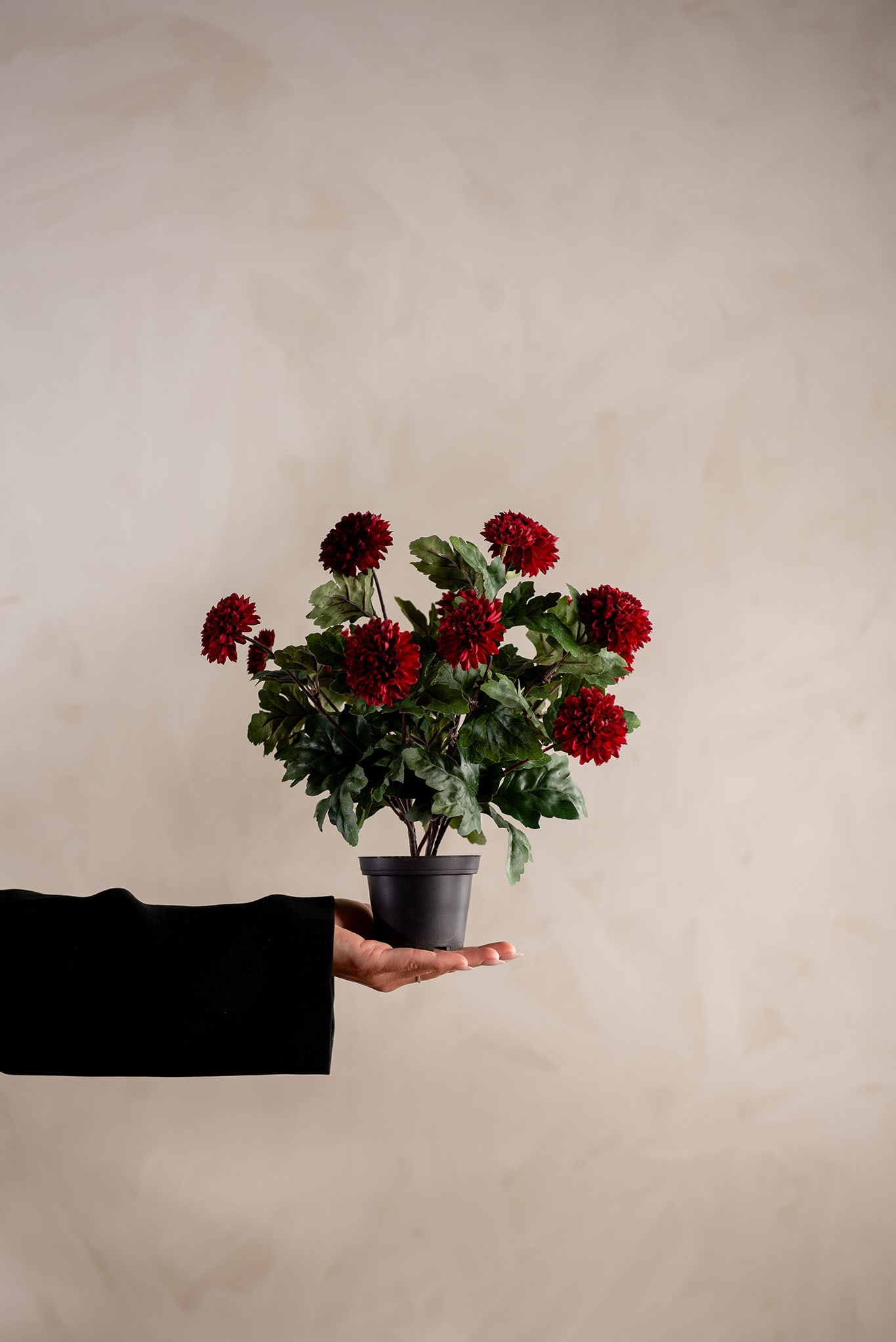 Kunstig burgunder Chrysanthemum 30cm