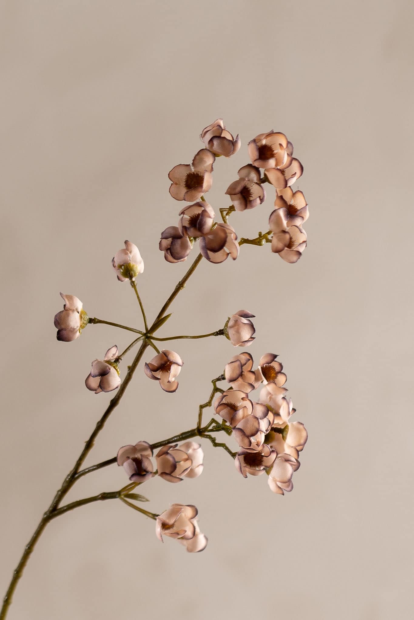 Kunstig hvit Ferskenblomst 67cm