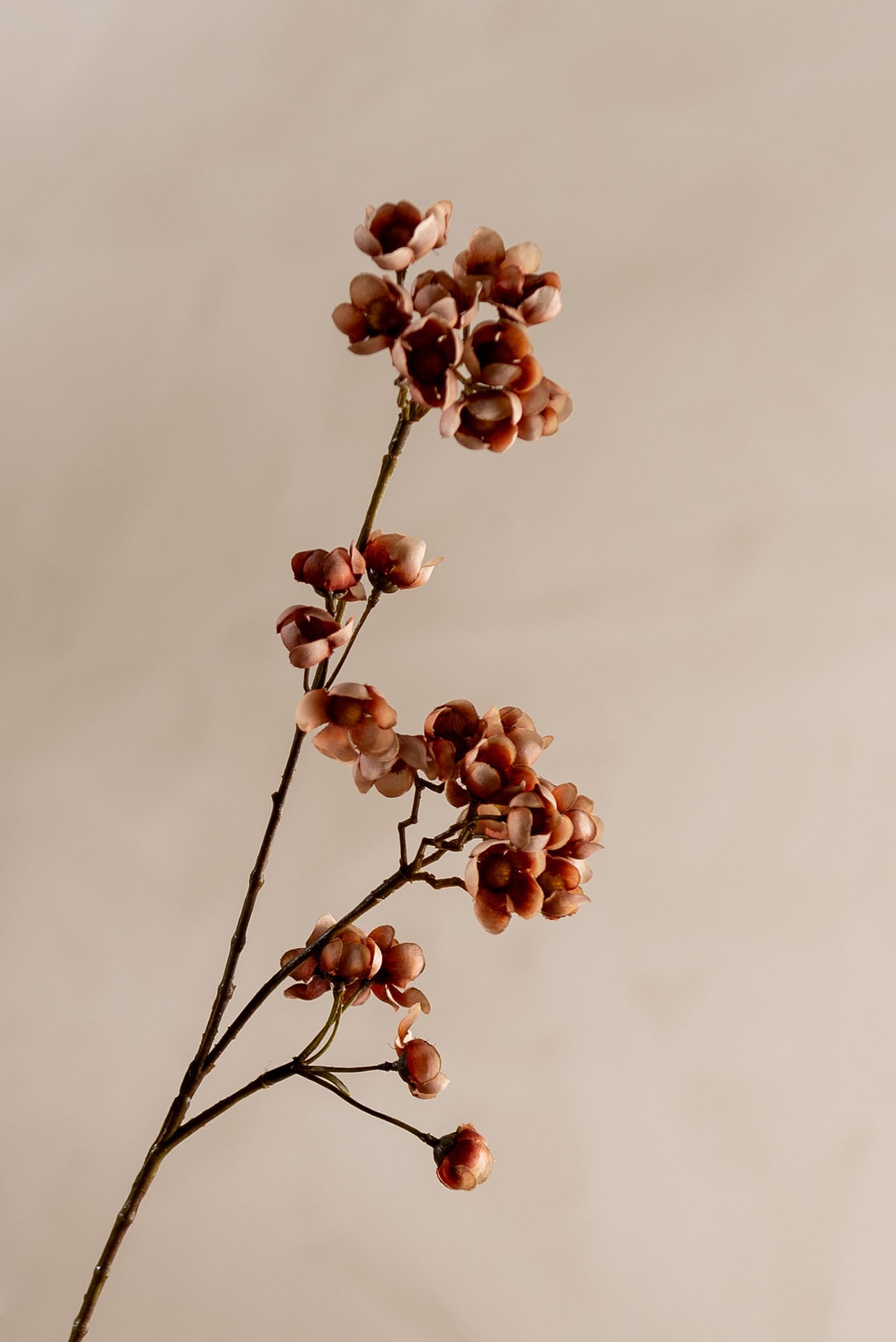 Kunstig brun Ferskenblomst 67cm