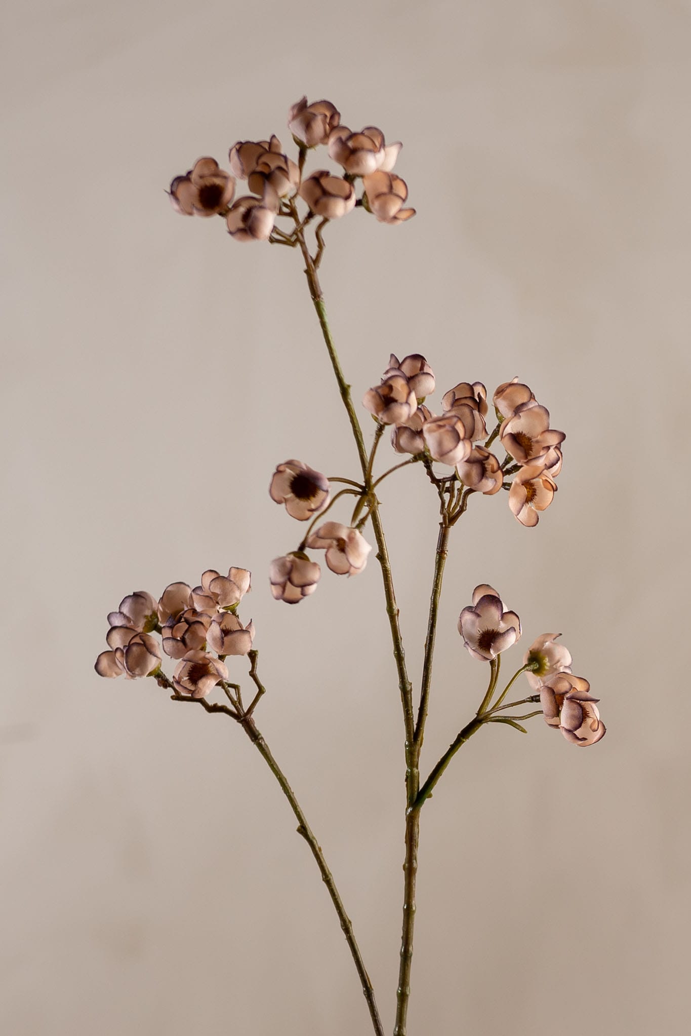 Kunstig hvit Ferskenblomst 95cm