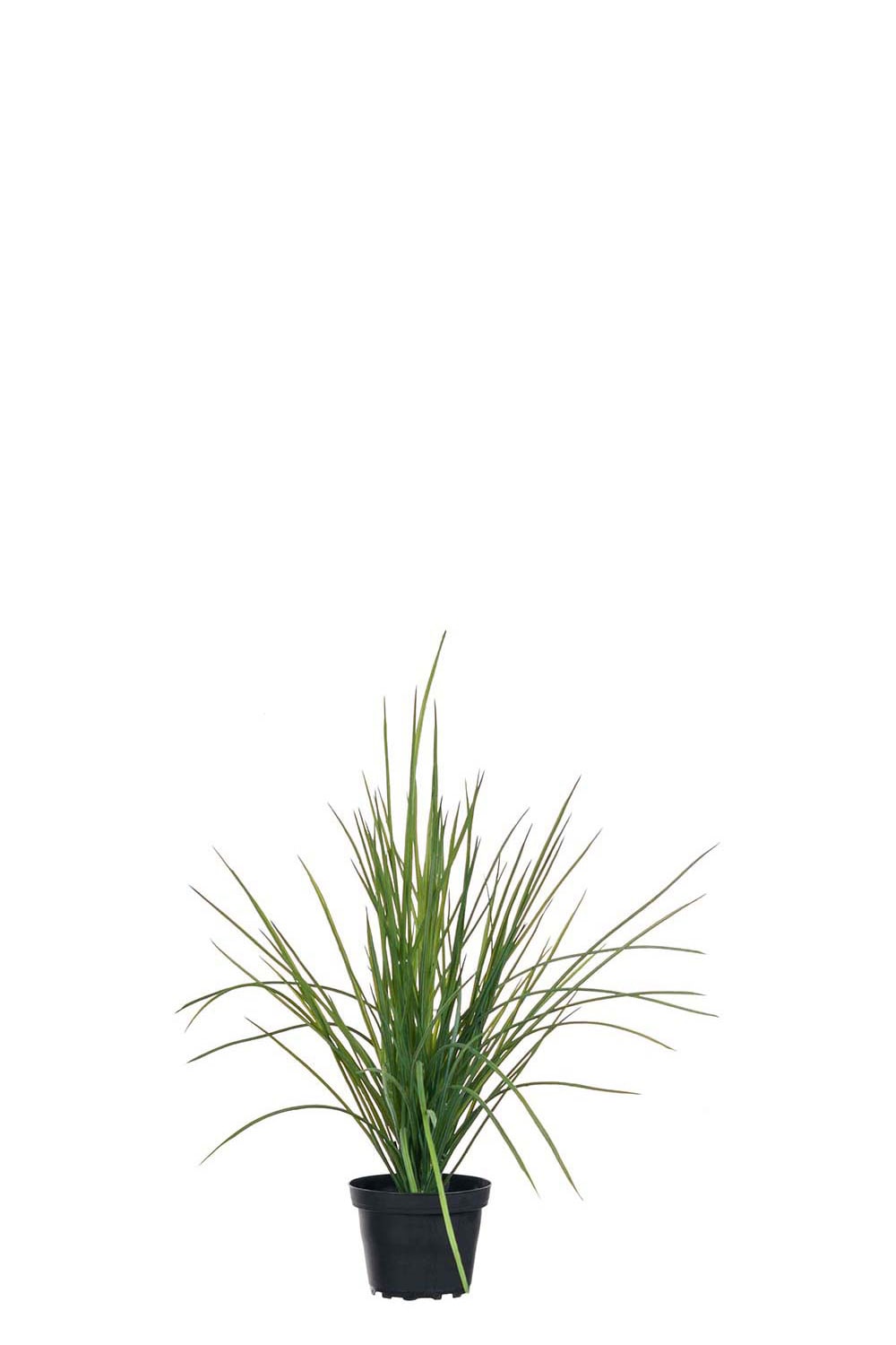 Kunstig grønn Gress 40 cm