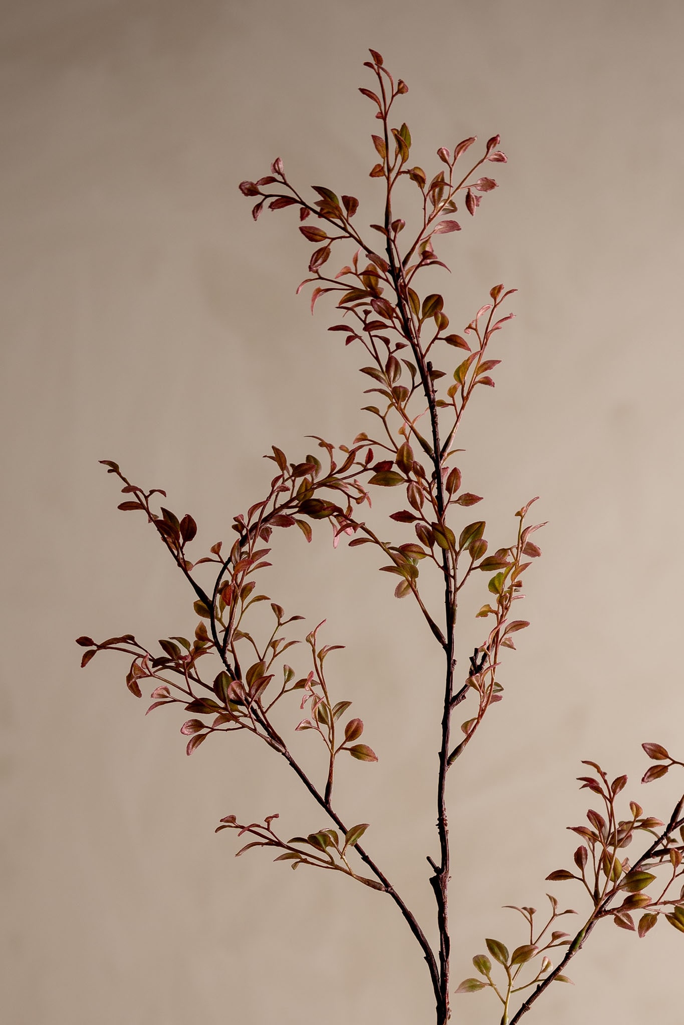 Kunstig rosa Ruscus 100cm