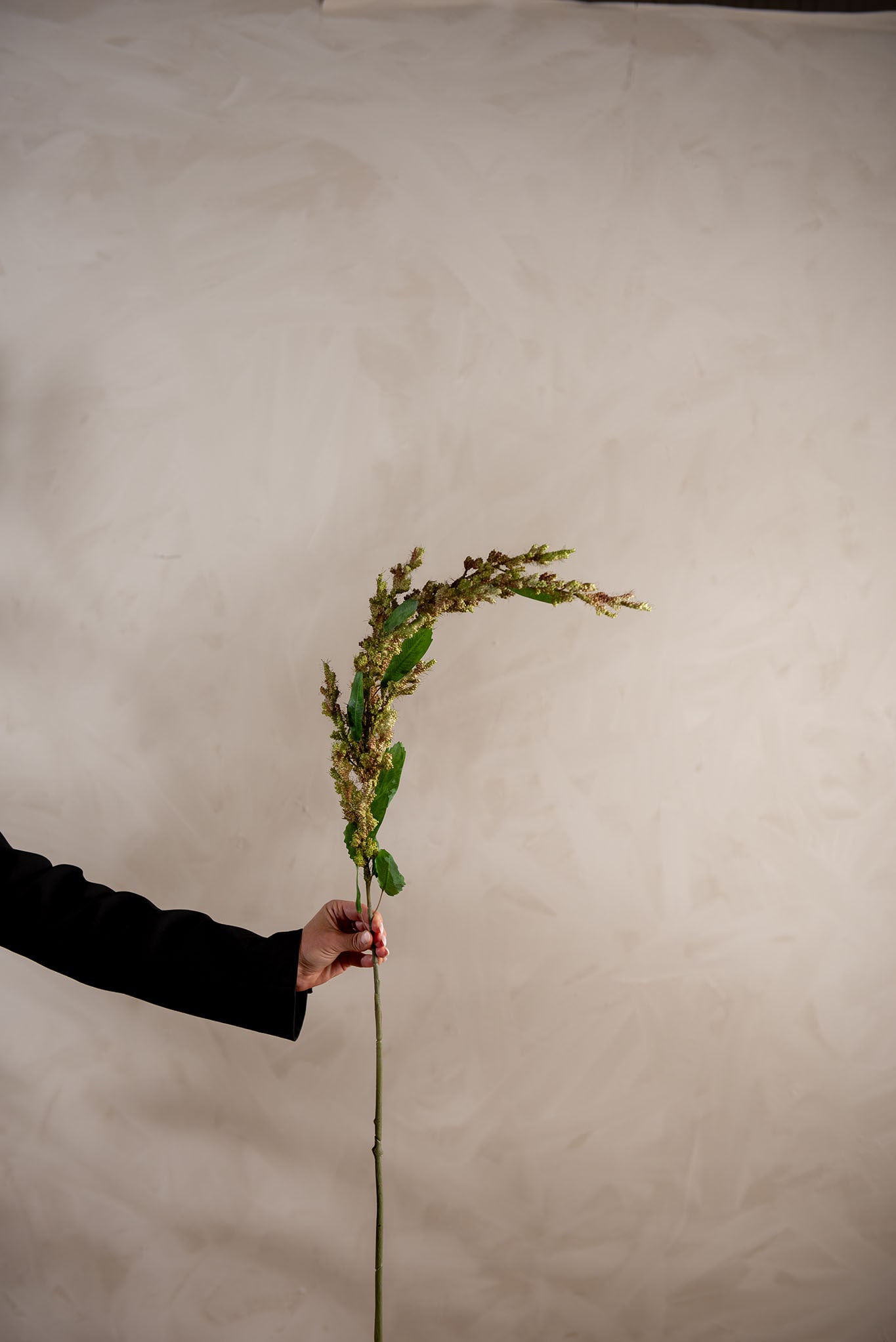 Kunstig grønn Amaranthus 95cm