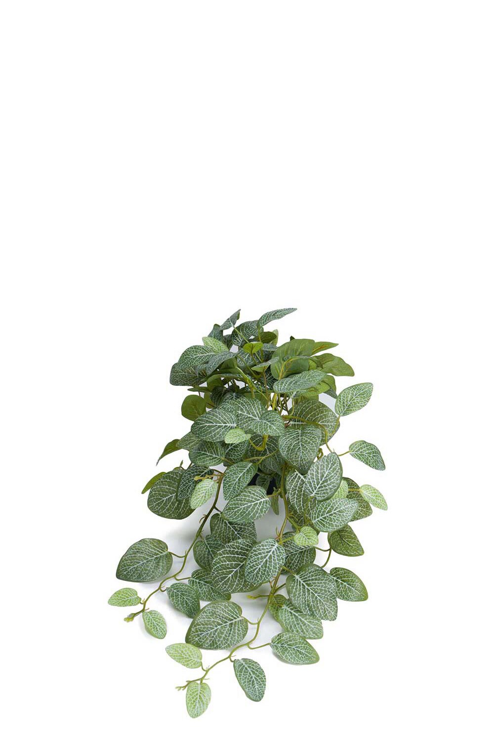 Kunstig grønn Fittonia 50 cm