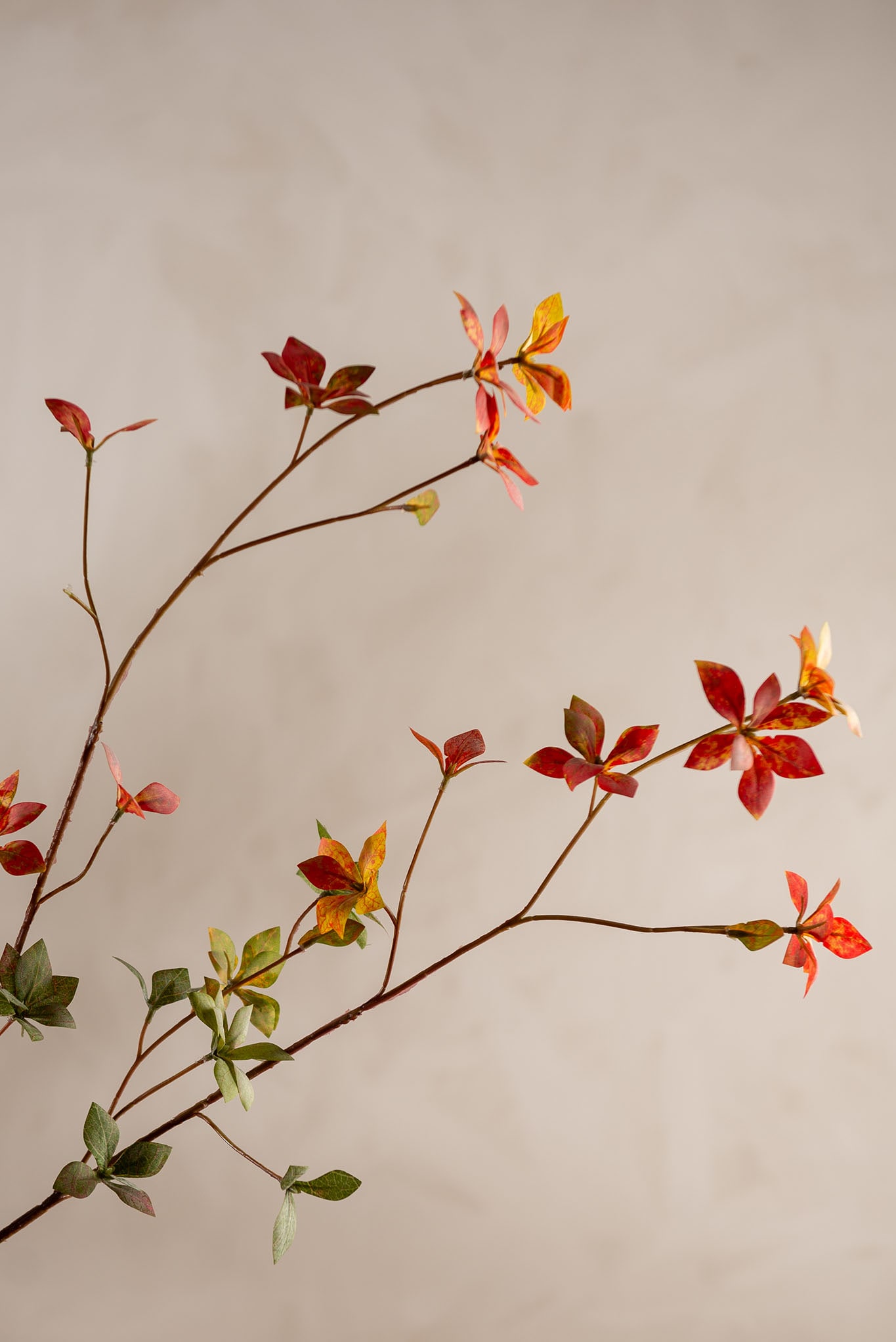 Kunstig oransje Enkianthus 110cm