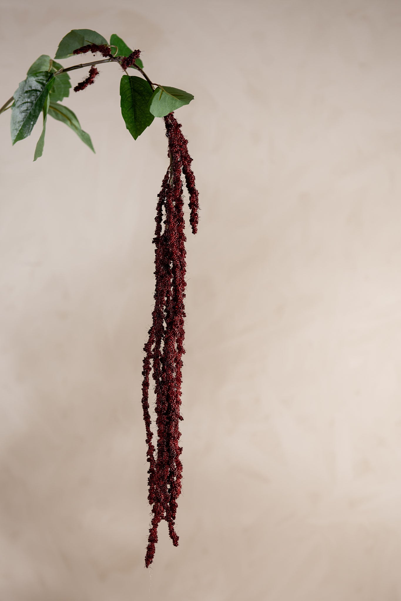 Kunstig burgunder Amaranthus 105cm