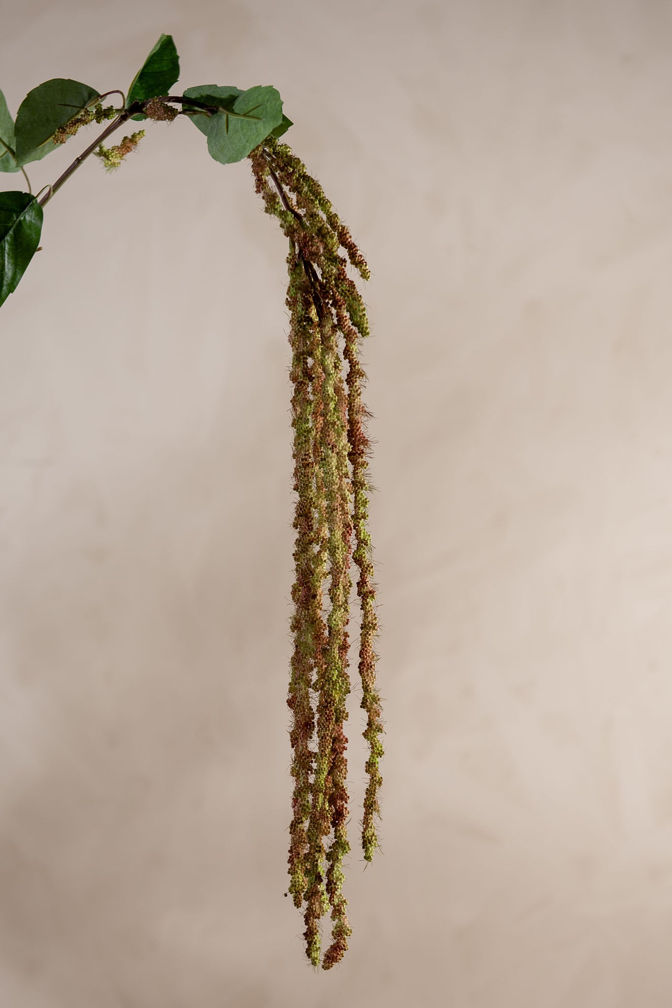 Kunstig grønn Amaranthus 105cm