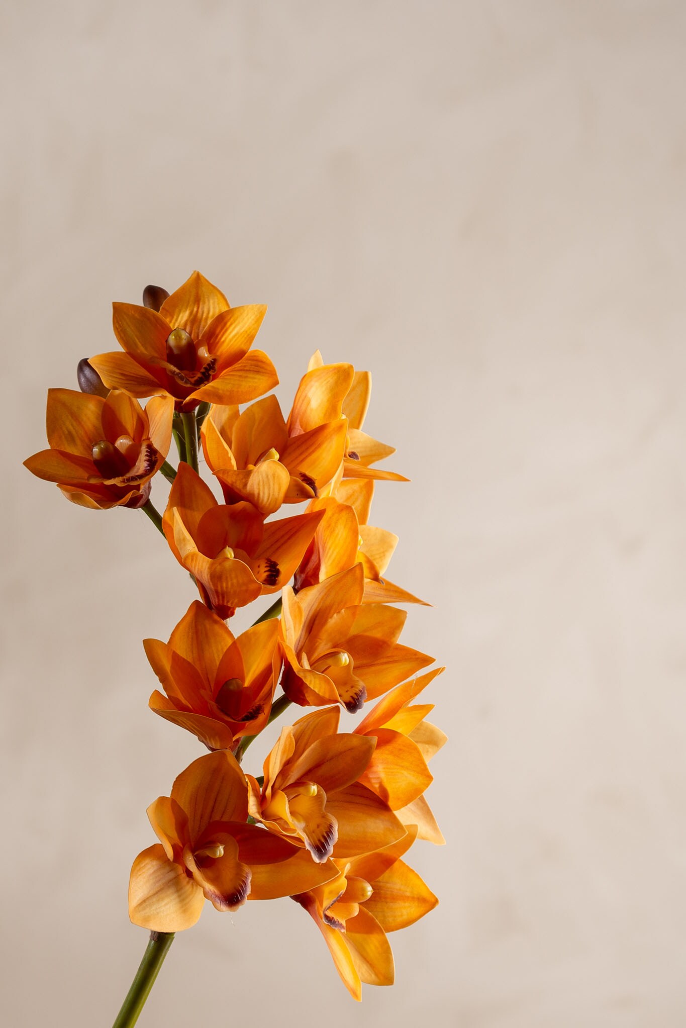 Kunstig oransje Cymbidium 65cm