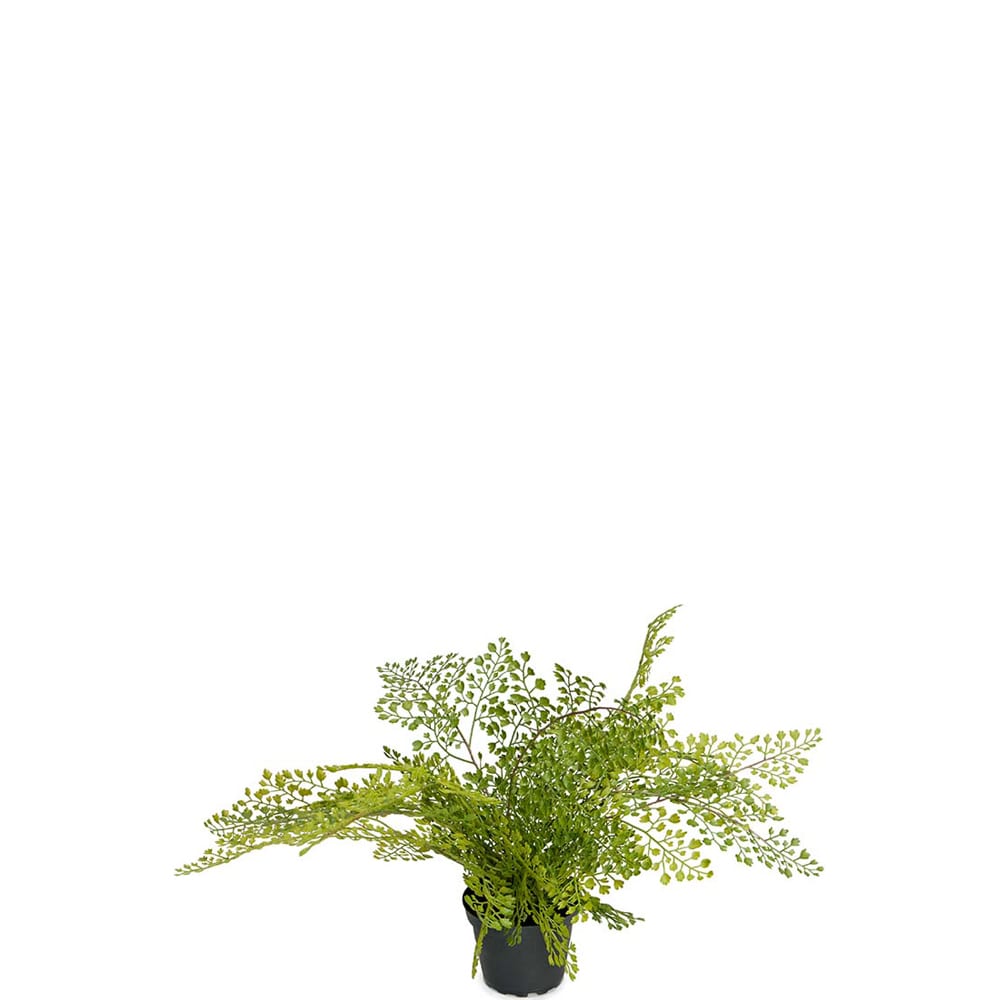 Kunstig grønn Adiantum 30 cm