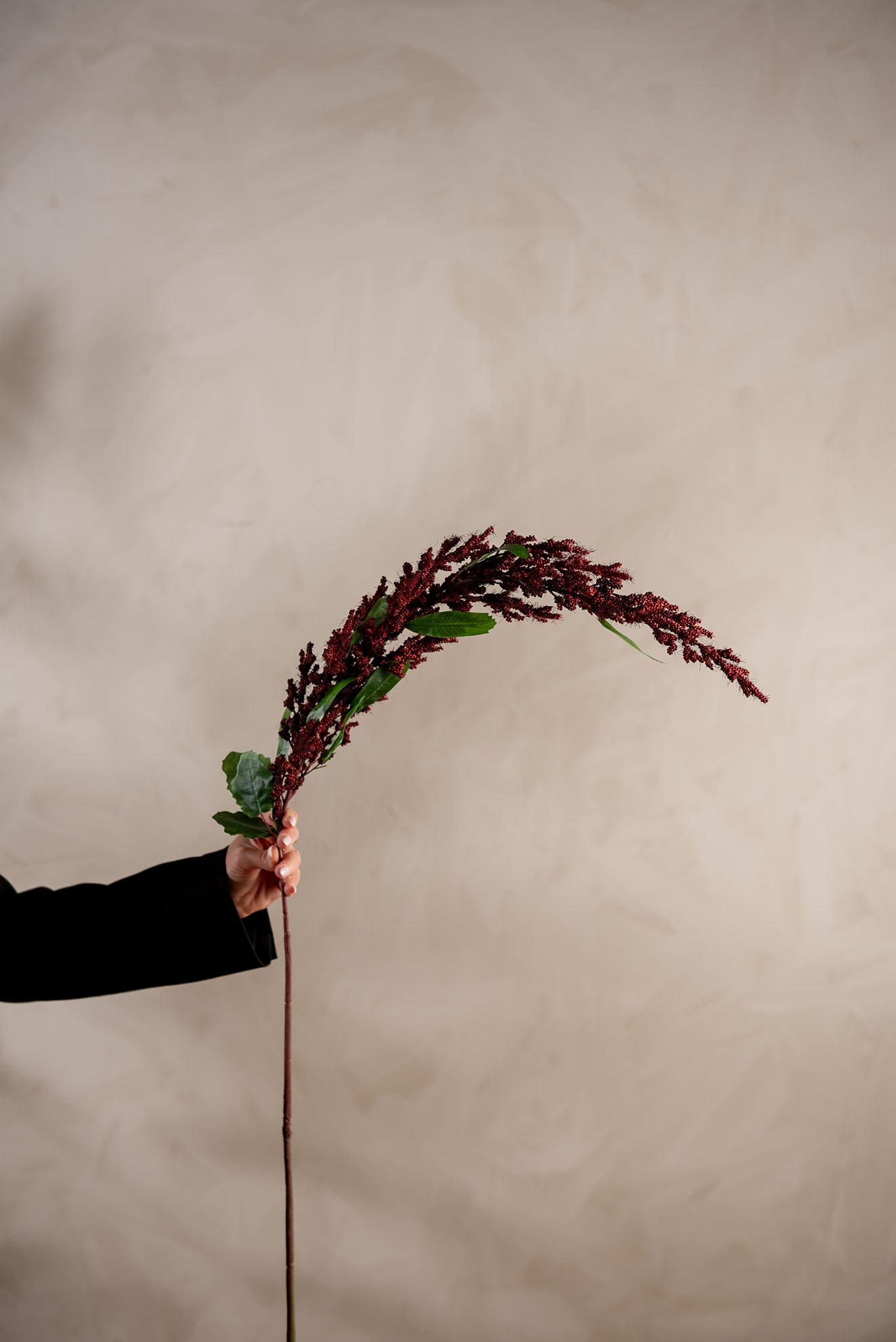 Kunstig burgunder Amaranthus 95cm