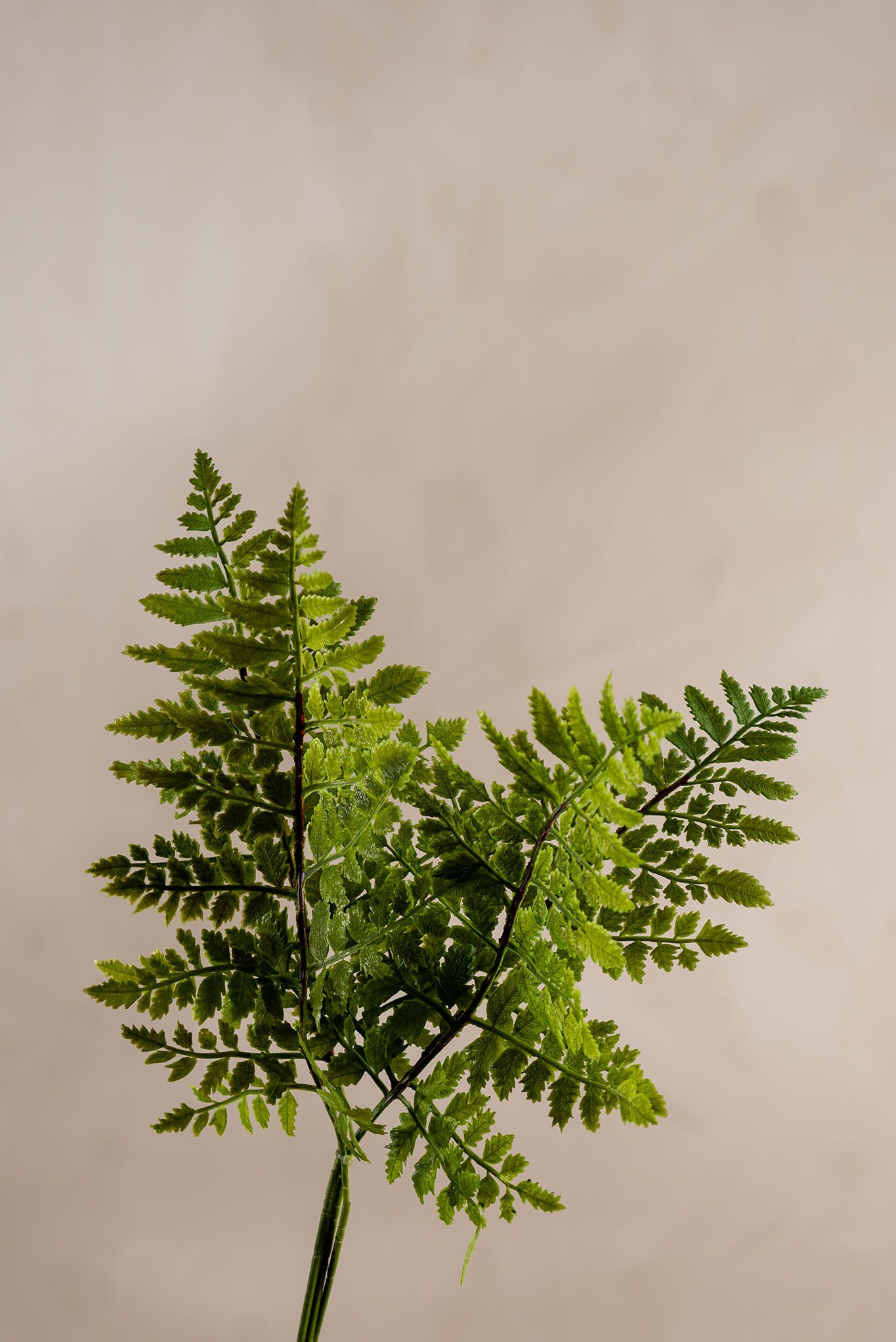Kunstig grønn Ormbunksblad, 4 stk 50cm