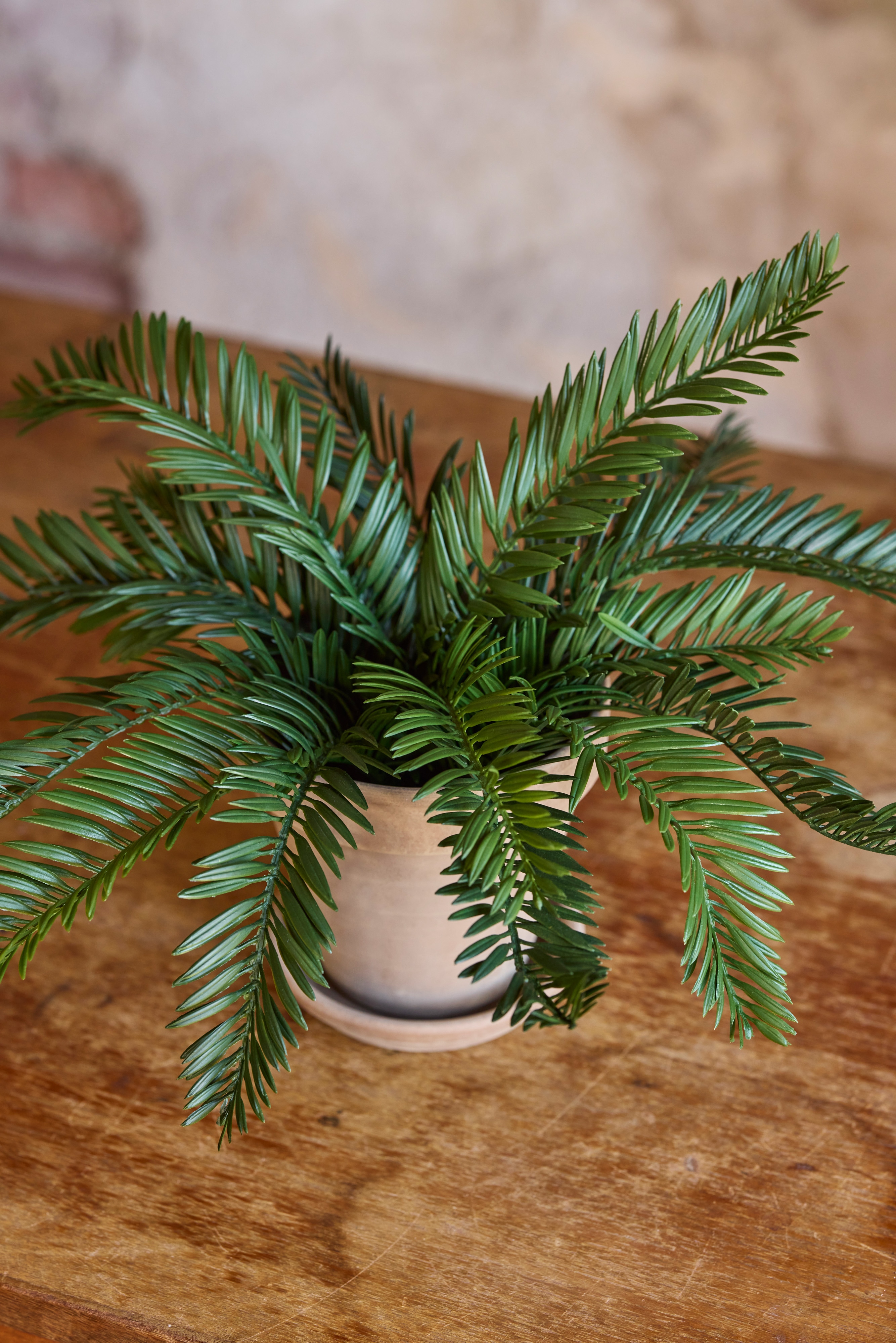 Kunstig grønn Cycas 20cm