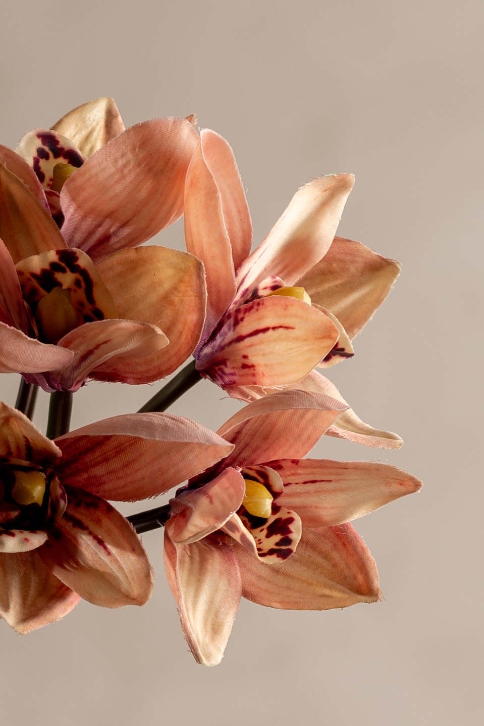 Kunstig aprikos Cymbidium bunt 34cm