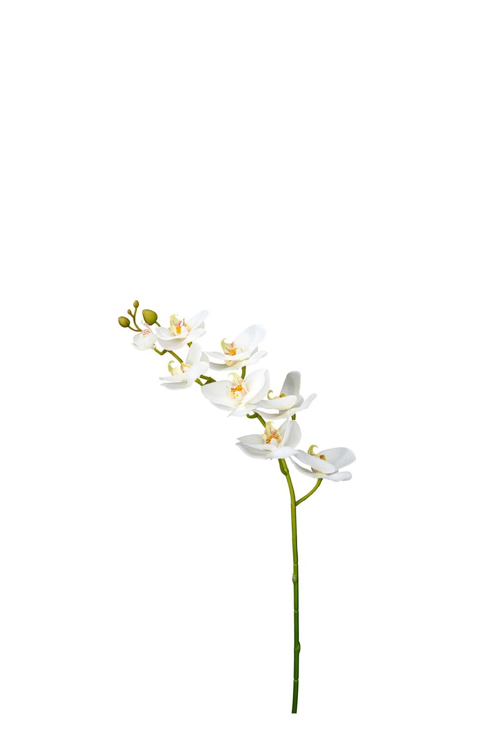 Kunstig hvit Phalaenopsis 75 cm
