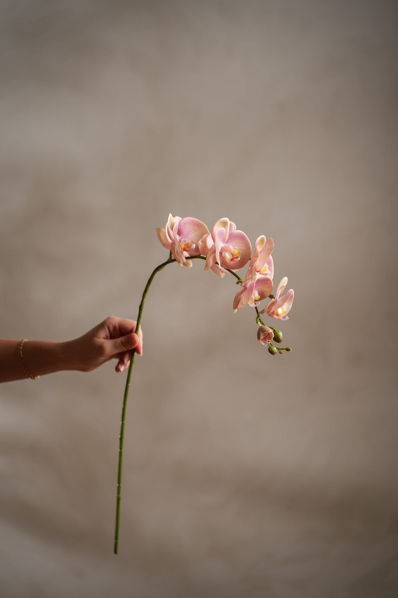 Kunstig rosa Phalaenopsis 75 cm