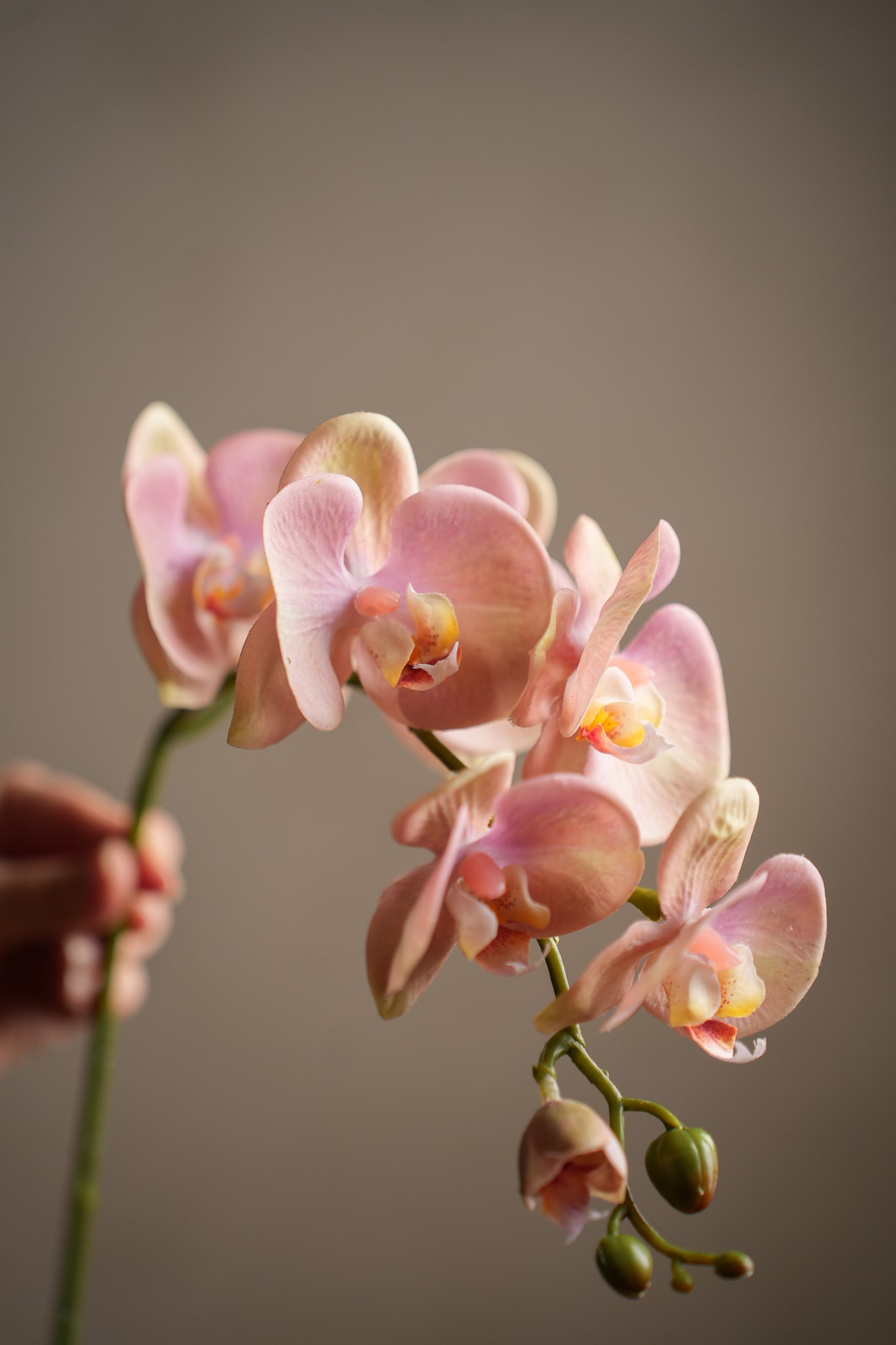 Kunstig rosa Phalaenopsis 75 cm