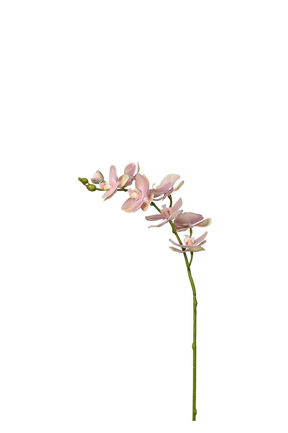 Kunstig rosa Phalaenopsis 75 cm