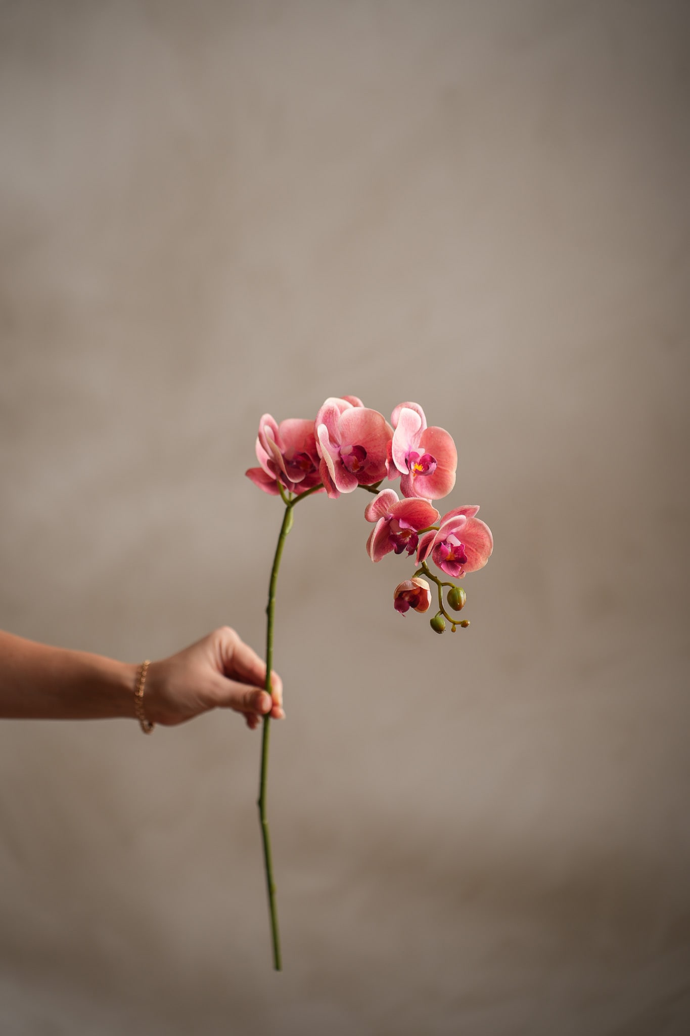 Kunstig rosa Phalaenopsis 75 cm
