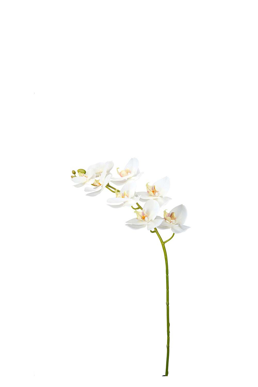 Kunstig hvit Phalaenopsis 95 cm