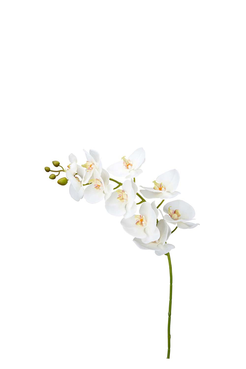 Kunstig hvit Phalaenopsis 105 cm