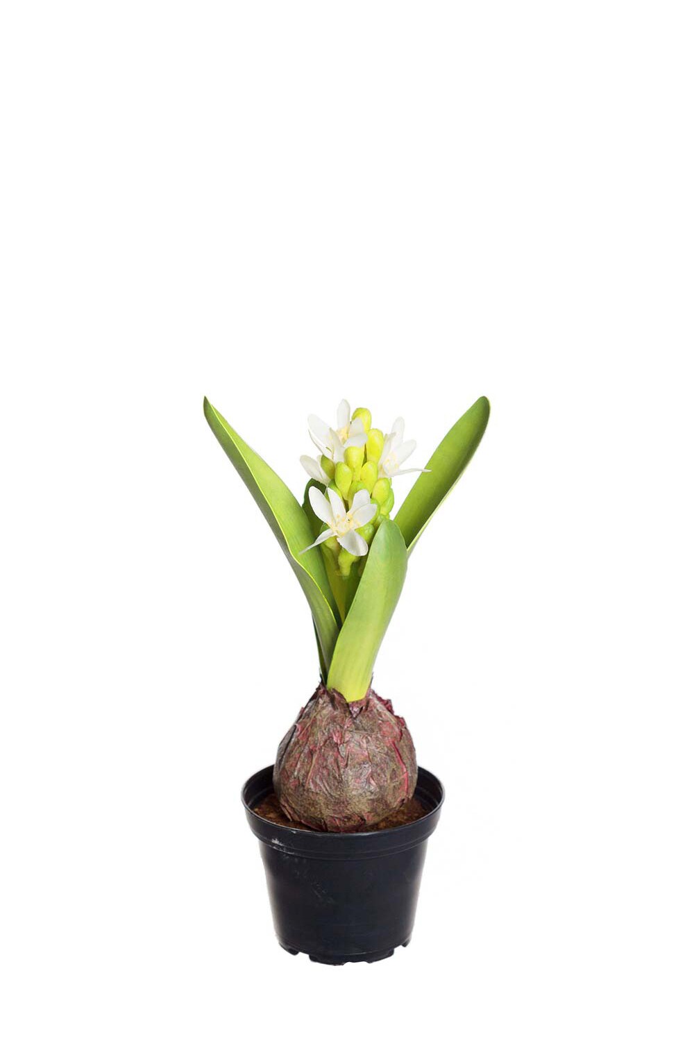 Kunstig hvit Hyasint 22 cm