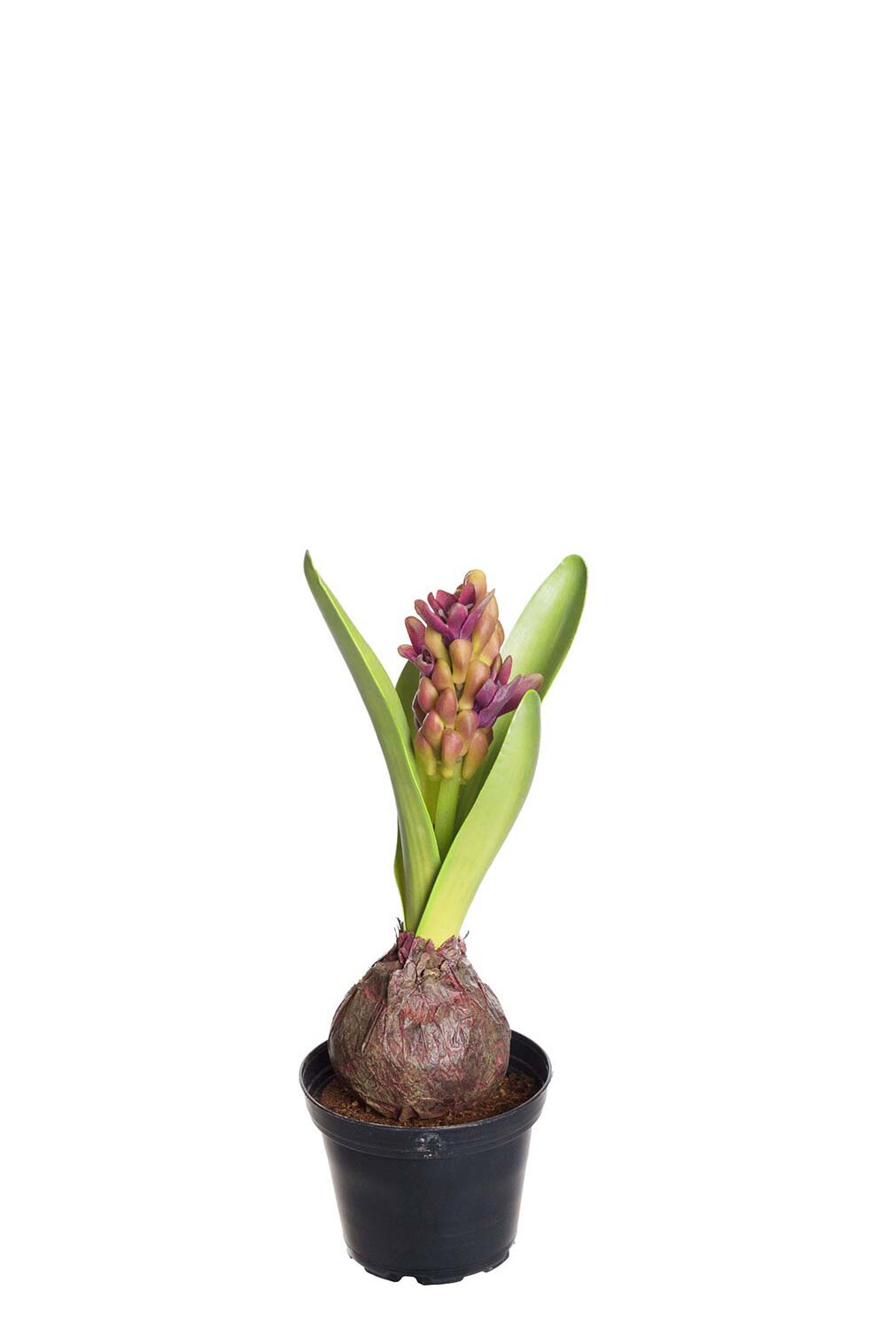 Kunstig lilla Hyasint 22 cm