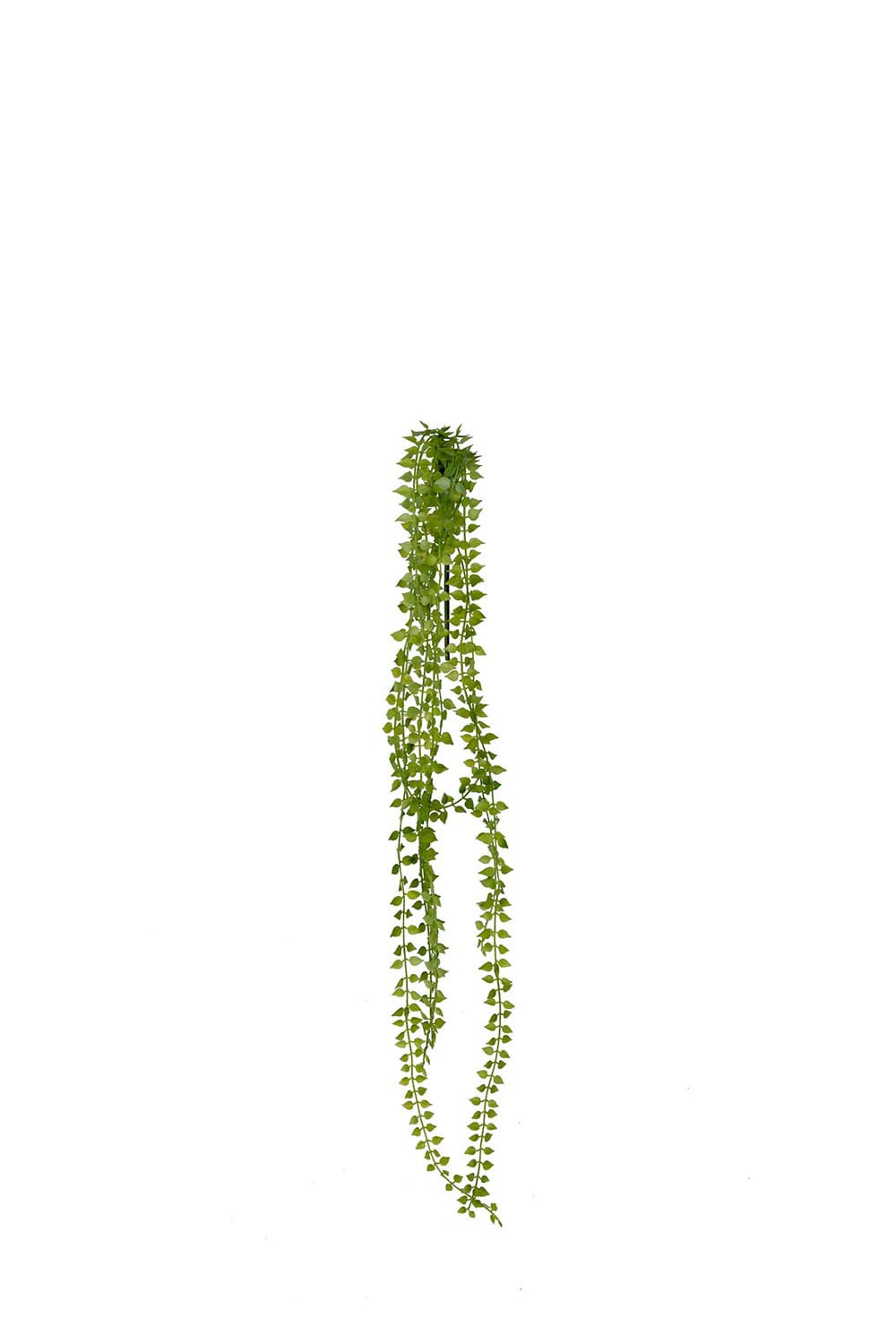 Kunstig grønn Dischidia 70 cm