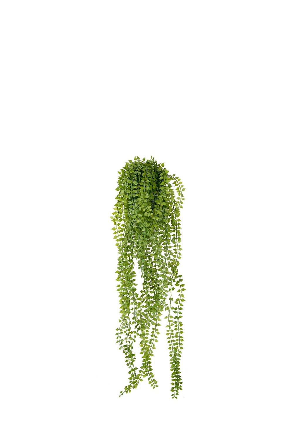 Kunstig grønn Dischidia 70 cm