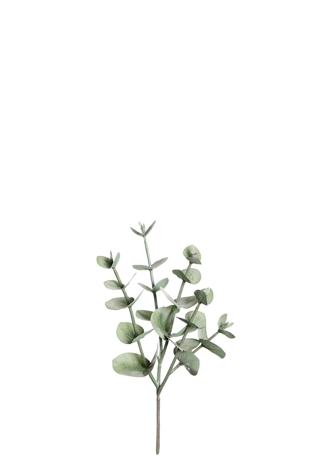 Kunstig grønn eukalyptus 24 cm