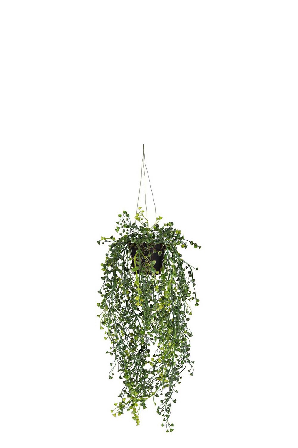 Kunstig grønn Cucullata 60 cm