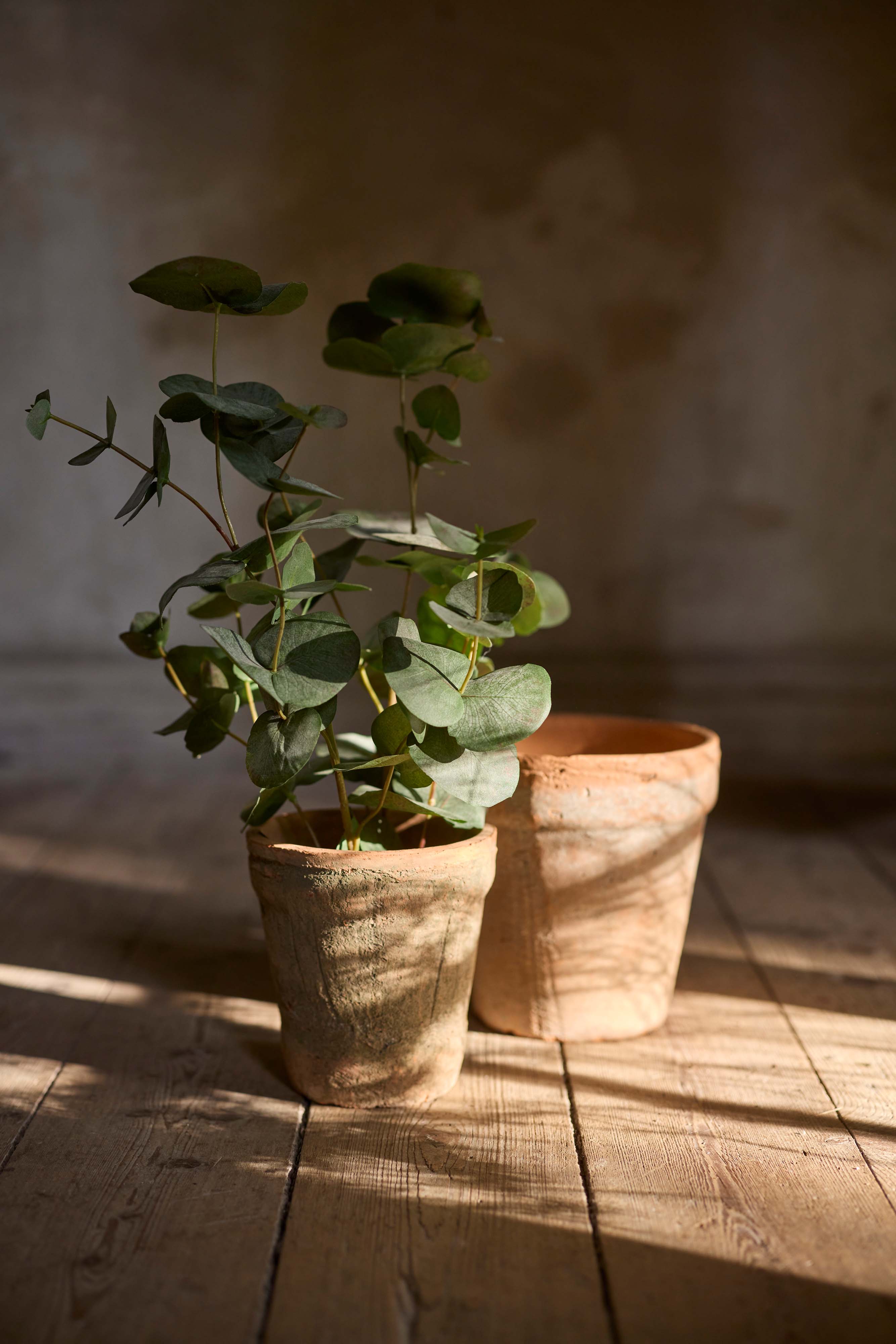 Kunstig grønn eukalyptus 55 cm