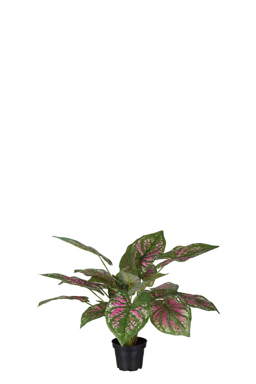 Kunstig flerfarget Caladium 40 cm