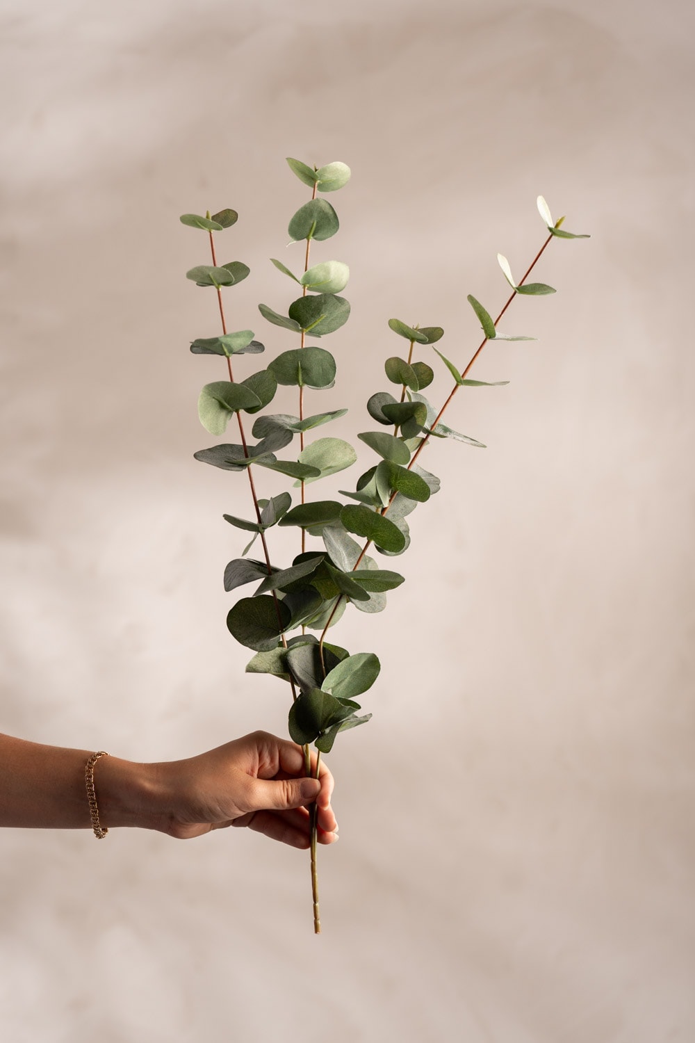 Kunstig grønn Eukalyptus 60 cm