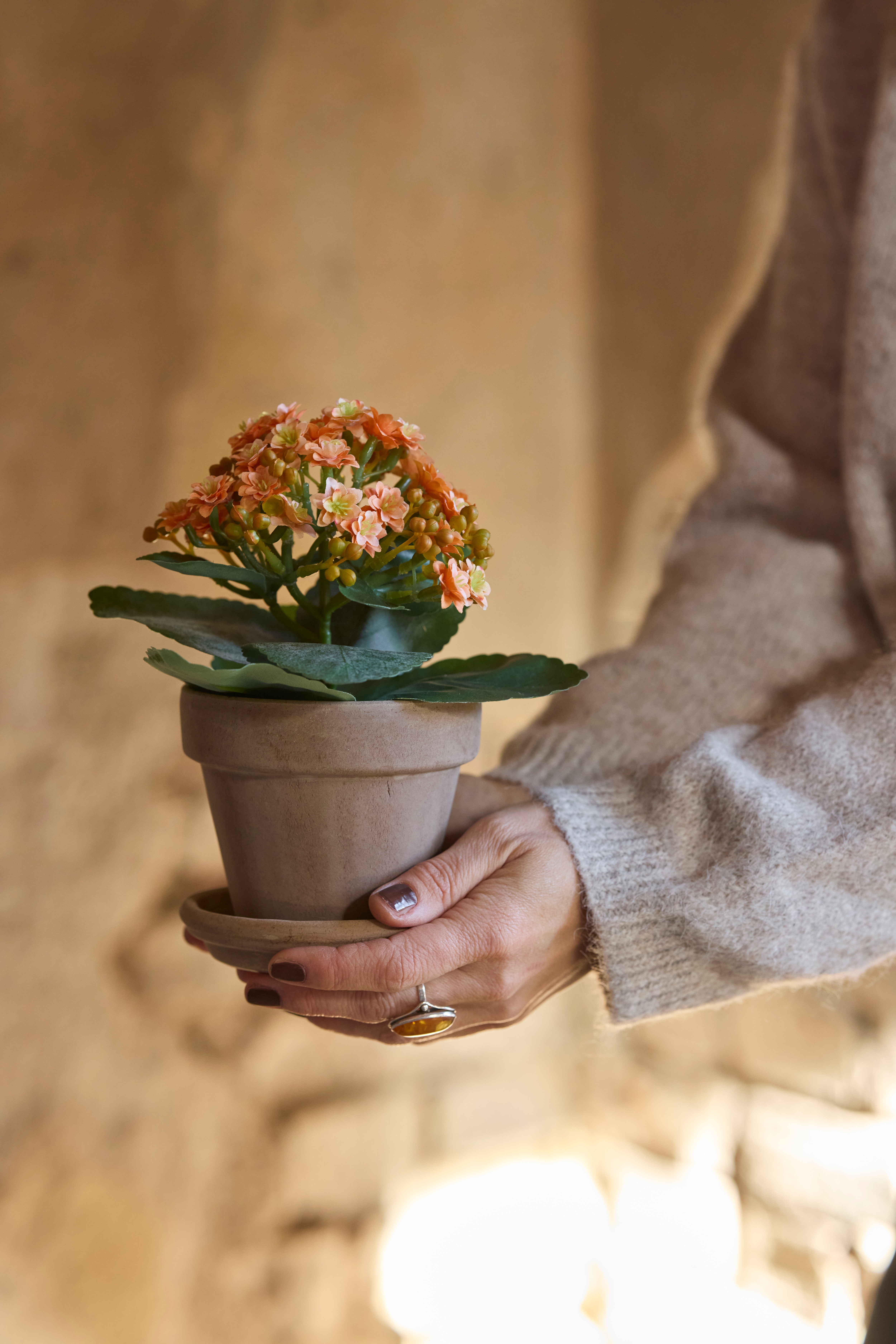 Kunstig fersken Kalanchoe 18cm
